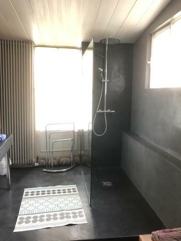 Les Serruriers - Appartement Spacieux Avec Terrasse & Parking Στρασβούργο Εξωτερικό φωτογραφία